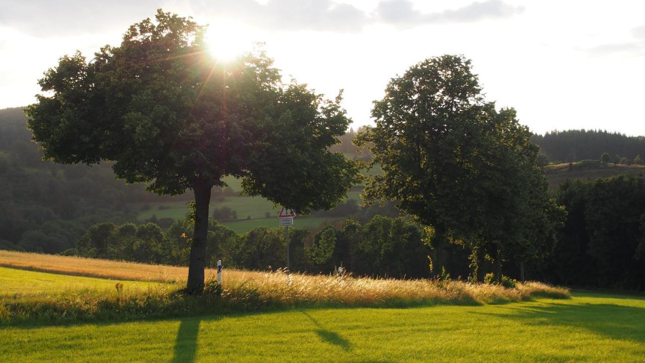 Fewo Talula - Sauerland Mit Hund Medebach Buitenkant foto