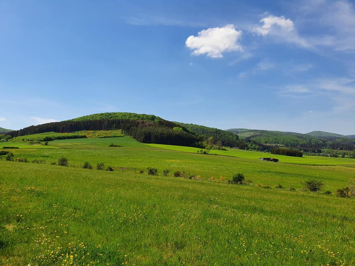Fewo Talula - Sauerland Mit Hund Medebach Buitenkant foto