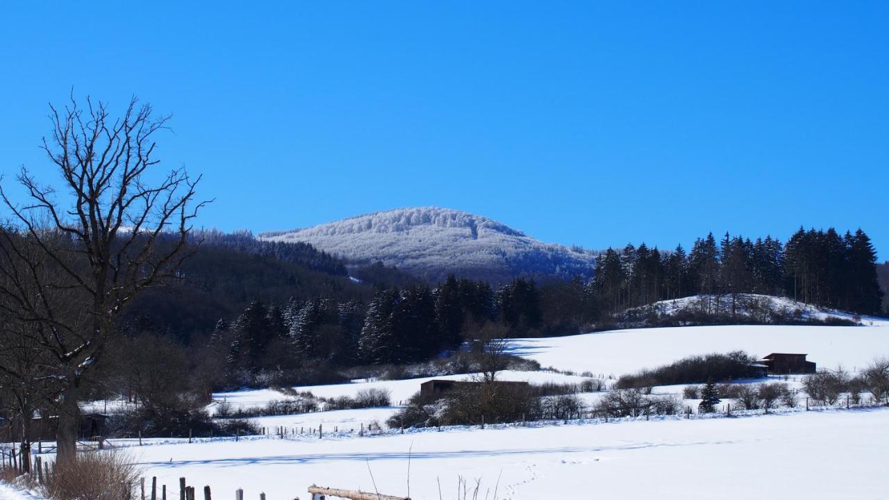 Fewo Talula - Sauerland Mit Hund Medebach Buitenkant foto