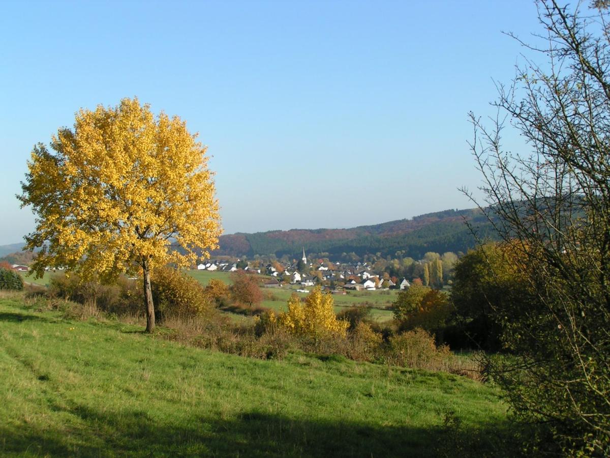 Fewo Talula - Sauerland Mit Hund Medebach Buitenkant foto